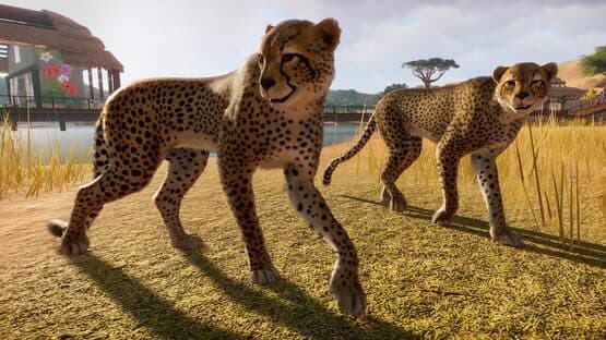 Planet Zoo — screenshot 7