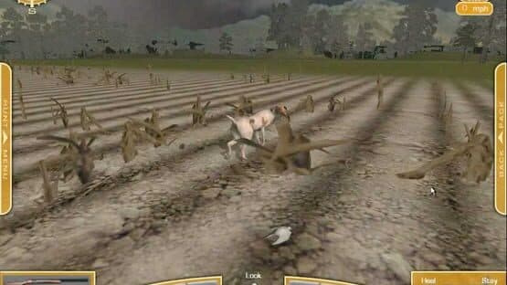 Bird Hunter 2003: Legendary Hunting — screenshot 3