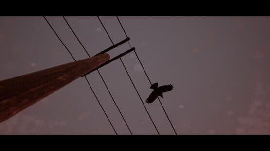 Of Bird and Cage — screenshot 4