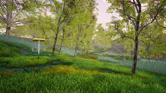 Perfect Round Disc Golf — screenshot 3