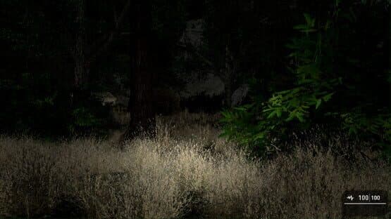 The Ritual — screenshot 3