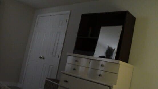 Real Scary — screenshot 1