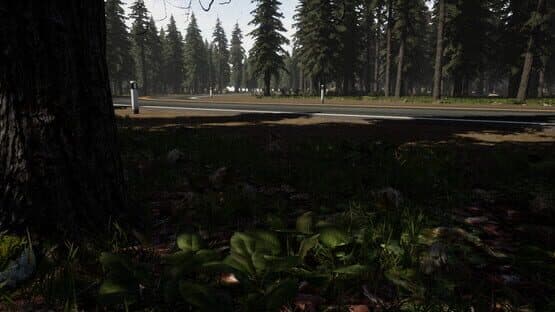 Gold Hunter — screenshot 3