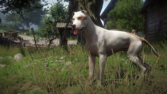 Kingdom Come: Deliverance - A Woman's Lot — screenshot 3