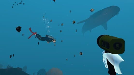 Dive with Sylvia VR — screenshot 3