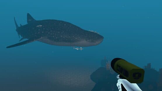 Dive with Sylvia VR — screenshot 6