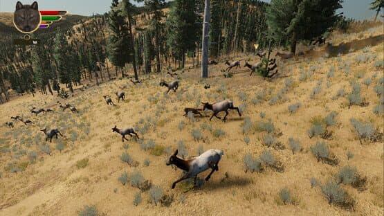 WolfQuest: Anniversary Edition — screenshot 1
