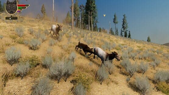 WolfQuest: Anniversary Edition — screenshot 3