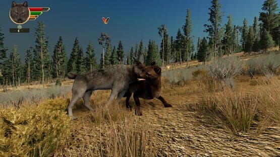 WolfQuest: Anniversary Edition — screenshot 7