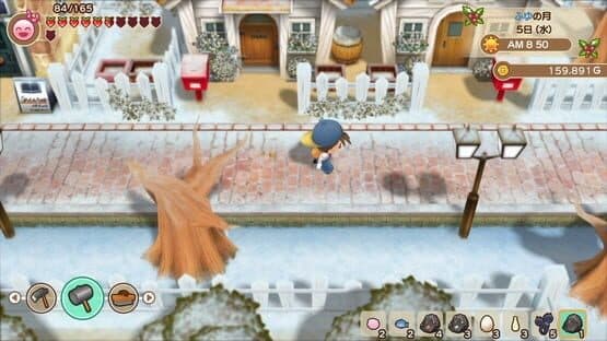 Story of Seasons: Friends of Mineral Town — screenshot 7