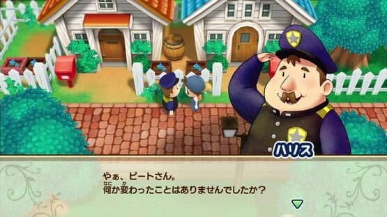 Story of Seasons: Friends of Mineral Town — screenshot 8