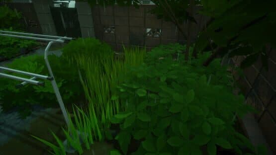 Rainy Season — screenshot 1