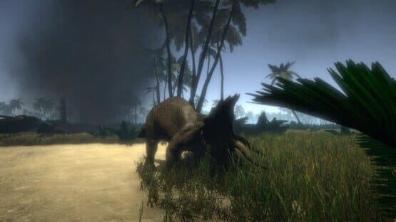 Island 1979 — screenshot 1