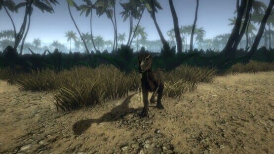 Island 1979 — screenshot 7