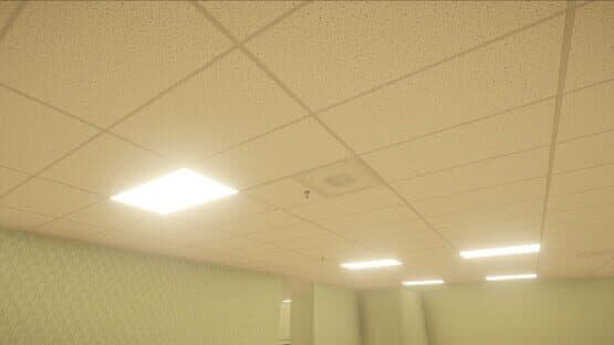 The Backrooms Simulator — screenshot 4