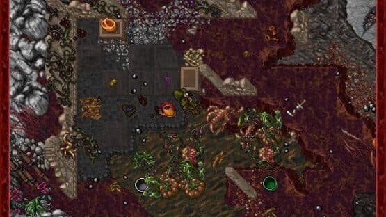 Tibia — screenshot 1