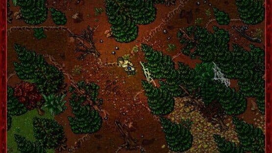 Tibia — screenshot 5
