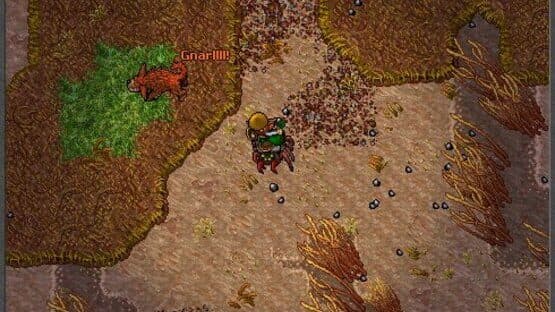 Tibia — screenshot 6
