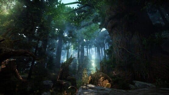 Black Desert — screenshot 1