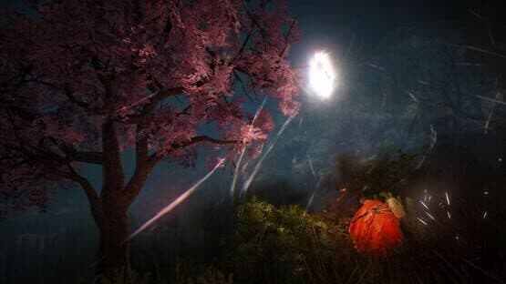 Black Desert — screenshot 3