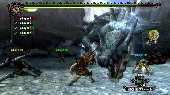 Monster Hunter Tri: Classic Controller Pro Pack — screenshot 1