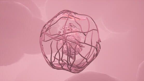 Anima — screenshot 1
