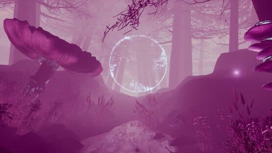 Anima — screenshot 2