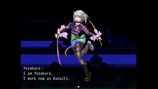 Kunoichi Ninja — screenshot 2