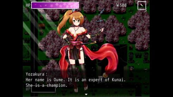 Kunoichi Ninja — screenshot 7