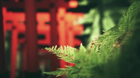 Explore Fushimi Inari — screenshot 1