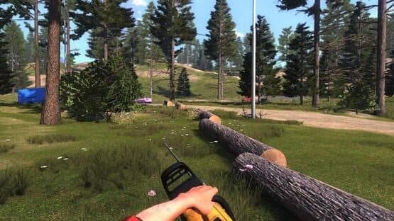 Lumberjack's Dynasty — screenshot 6