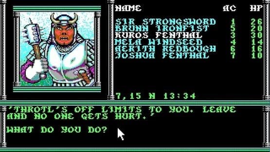 Champions of Krynn — screenshot 4