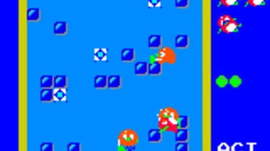 Pengo — screenshot 3