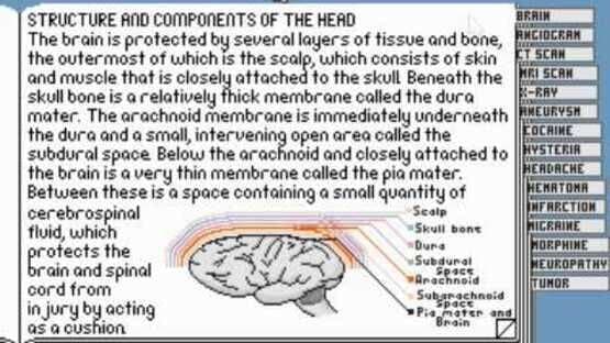 Life & Death II: The Brain — screenshot 5