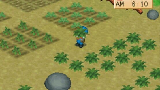 Harvest Moon: Back to Nature — screenshot 2