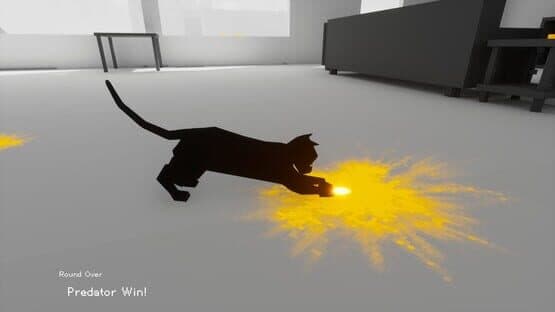 Cat & Mouse — screenshot 4