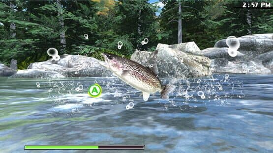 Reel Fishing: Road Trip Adventure — screenshot 7