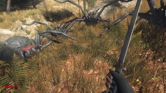 Forest spiders — screenshot 1