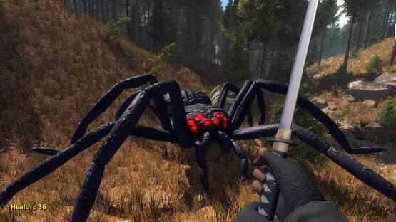 Forest spiders — screenshot 2