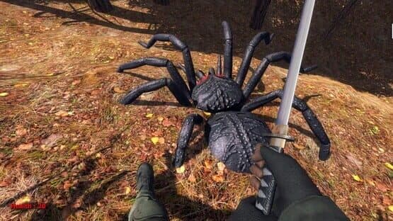 Forest spiders — screenshot 4