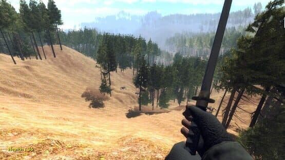 Forest spiders — screenshot 5