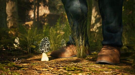 Morels: The Hunt — screenshot 1