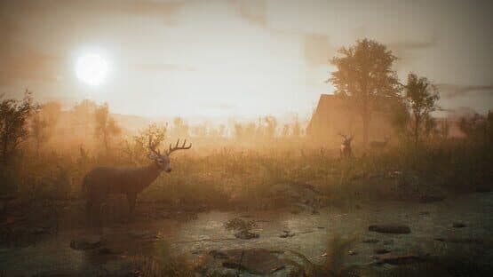 Morels: The Hunt — screenshot 2