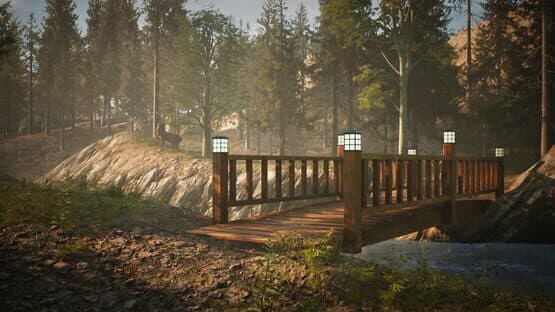 Morels: The Hunt — screenshot 5