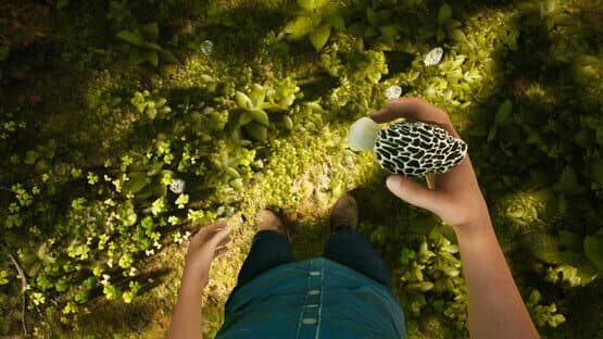Morels: The Hunt — screenshot 6