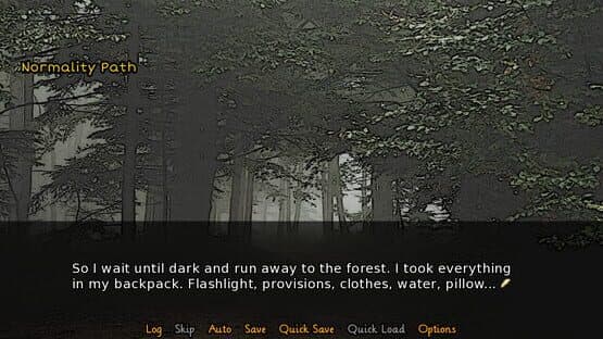 New Path 1: Adventure or Normality? — screenshot 6