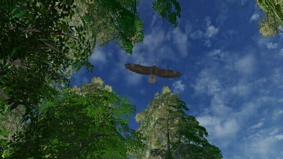 Safari Grounds - The Wilpattu Leopard — screenshot 2