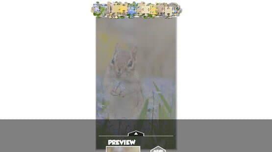 Puzzlection — screenshot 1