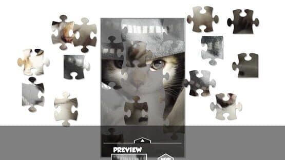 Puzzlection — screenshot 3