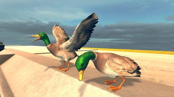 Bird Simulator — screenshot 6
